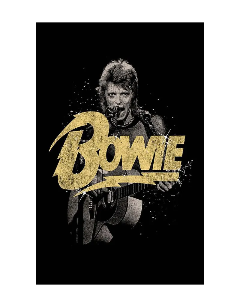 BOWIE GUITAR TEE